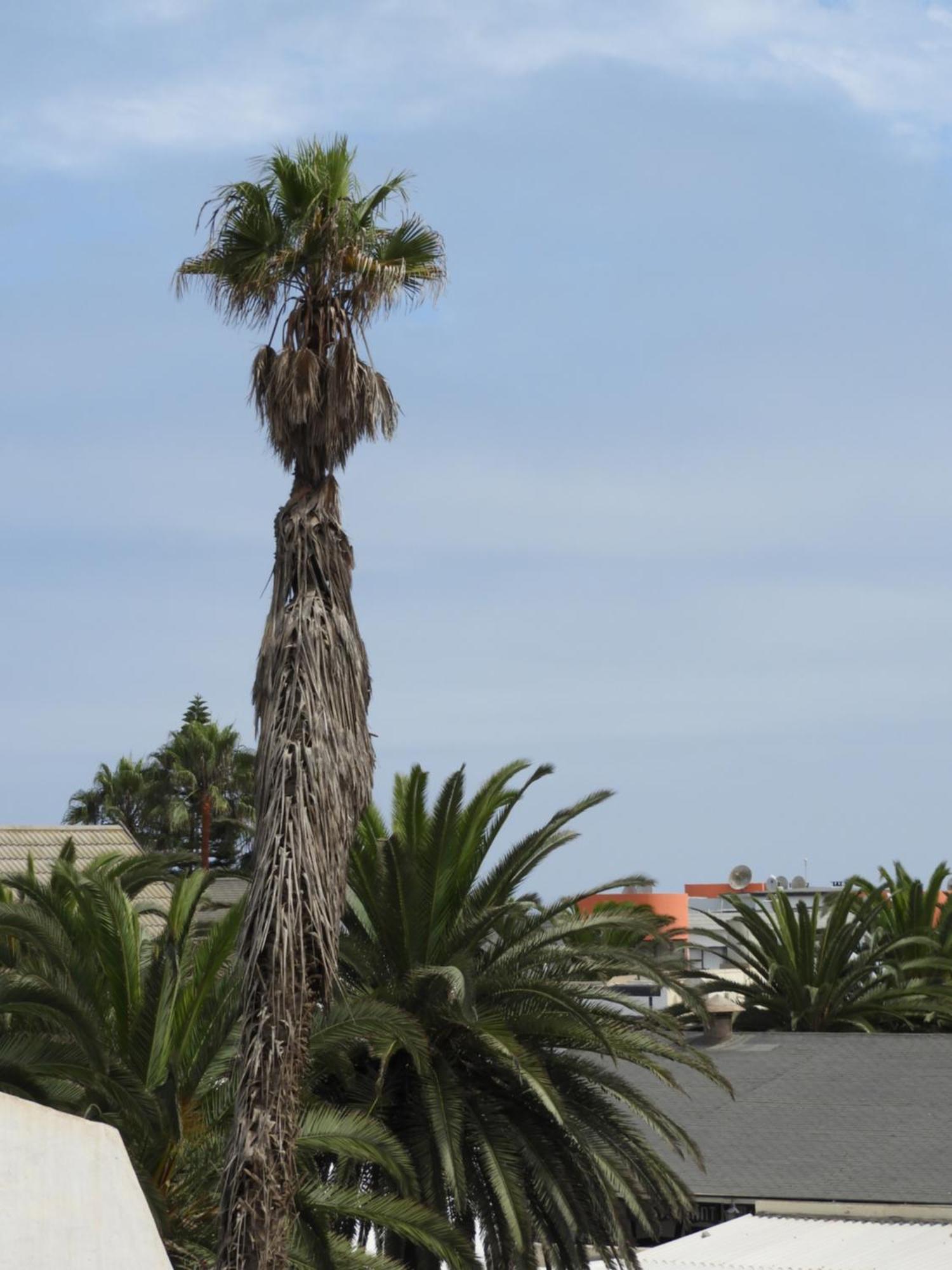 Central Self Catering Swakopmund Exterior foto